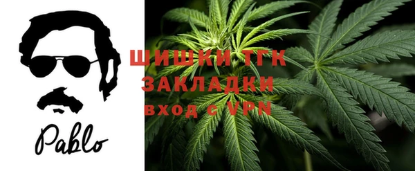 шишки Белая Холуница