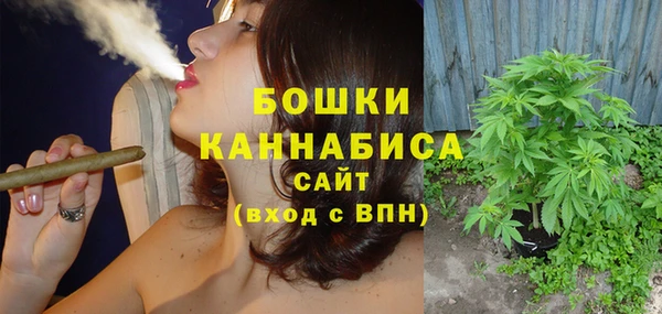шишки Белая Холуница