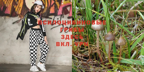 марки lsd Надым