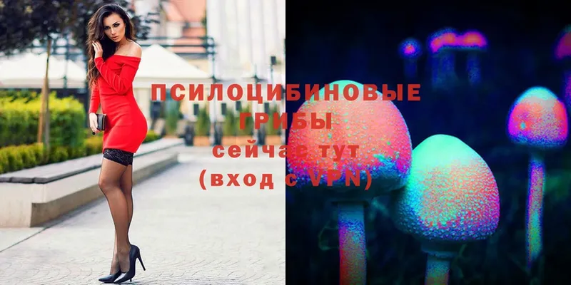 наркота  Остров  Псилоцибиновые грибы MAGIC MUSHROOMS 