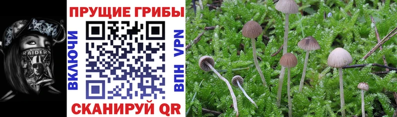 Галлюциногенные грибы Cubensis  наркошоп  Остров 
